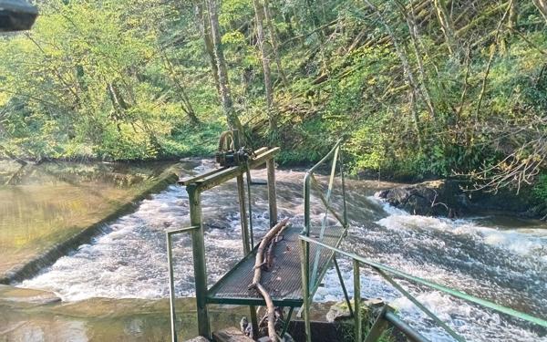 Maison à vendre    7 pièces • 268 m2 Aixe-sur-Vienne