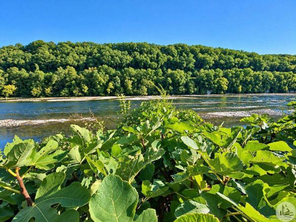 Au bord de la Dordogne, propriété de caractère