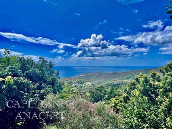 Dpt Martinique (972), à vendre CASE PILOTE terrain