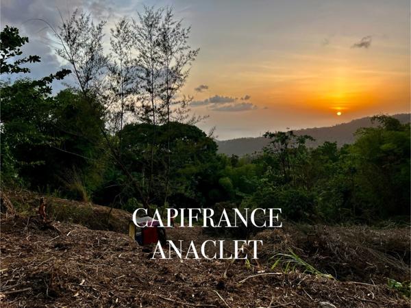 Dpt Martinique (972), à vendre CASE PILOTE terrain