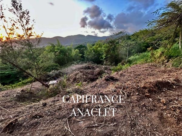 Dpt Martinique (972), à vendre CASE PILOTE terrain