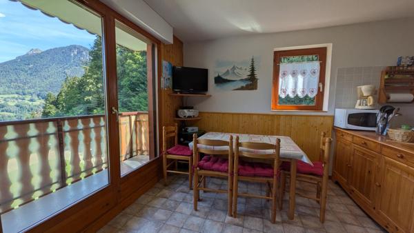RARE : Appartement 3 pièces de 33m2 carrez avec box fermé OFFRANT une VUE DEGAGEE , place de PARKING PRIVATIVE et CAVE