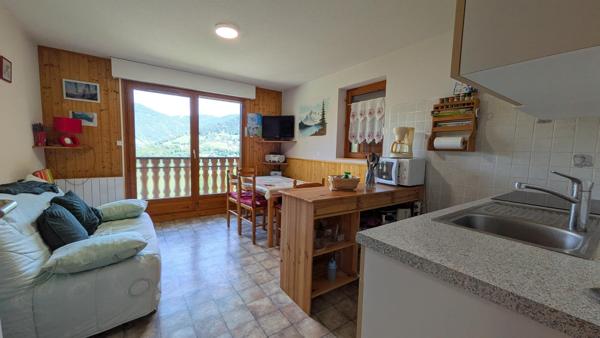 RARE : Appartement 3 pièces de 33m2 carrez avec box fermé OFFRANT une VUE DEGAGEE , place de PARKING PRIVATIVE et CAVE