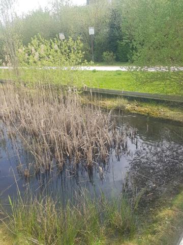 Appartement Bussy Saint Georges 2 pièce(s) 48.50 m2