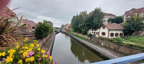 Local commercial centre ville de Saverne 99 m²