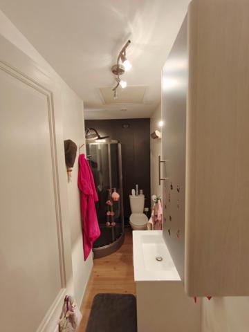 Sublime appartement au style ancien