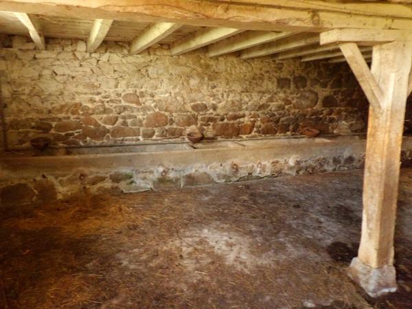 Dpt Creuse (23), à vendre LES MARS Locaux d'activité