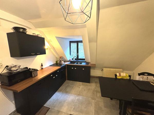 Superbe appartement entièrement rénové  50,72 m²  THANN (68800)