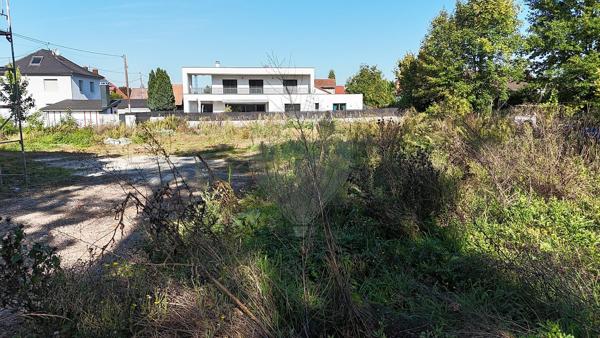 Terrain  en vente - Haut-Rhin - 68