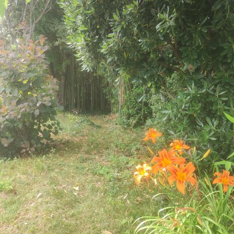 Chalet coup de cœur aux portes des Cévennes