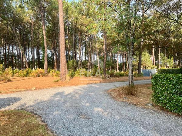 Élégance Contemporaine au Coeur de Sanguinet : Maison d'Exception à Vendre