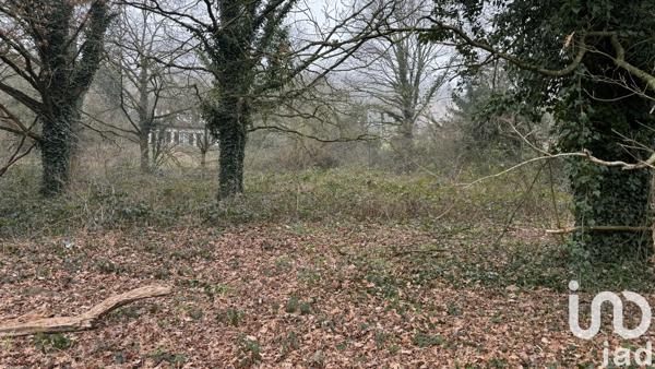Terrain à vendre 2 145 m² Marcoussis