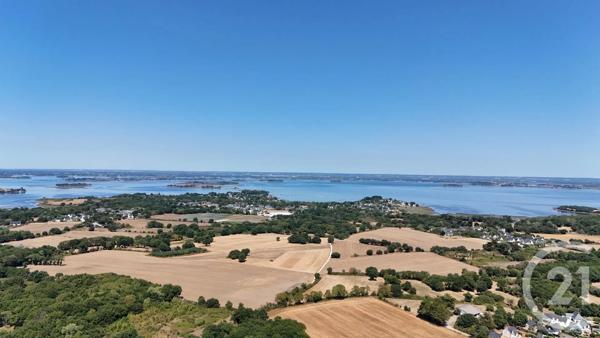 Terrain à vendre  1200 m 2   SARZEAU  - 56