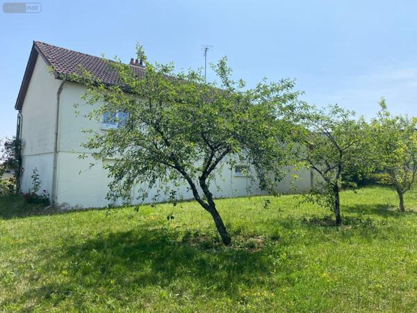 Maison à vendre à Buzançais dans l'Indre (36500), ref : 1051039
