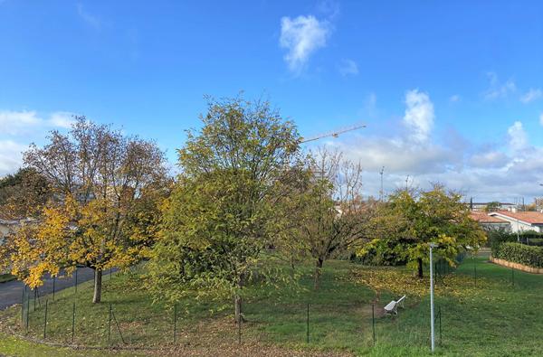 Très confortable appartement T5 de 115 m² Montauban