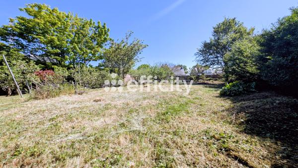 Terrain - 649 m²