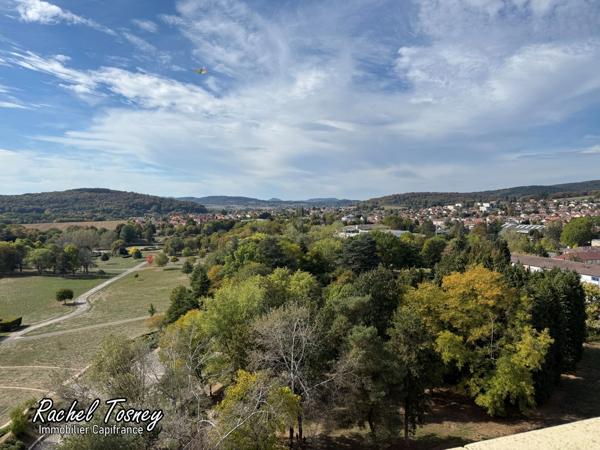 Appartement à louer 2 pièces BELFORT VUE SUPERBE sur les VOSGES ! balcon, cellier et cave