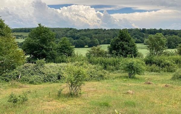 Vente Terrain Coudreceau   