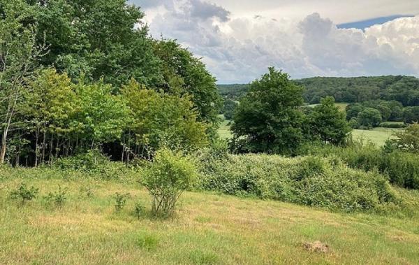 Vente Terrain Coudreceau   