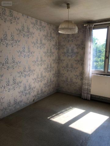 Maison à vendre à Issoudun dans l'Indre (36100), ref : 11813/1419