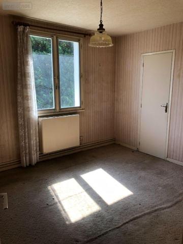 Maison à vendre à Issoudun dans l'Indre (36100), ref : 11813/1419