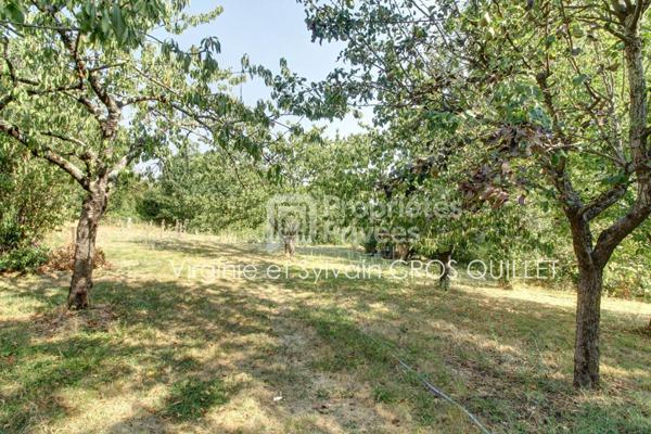 Maison de caractère secteur Lavaur 255 m2 + annexes sur grande parcelle