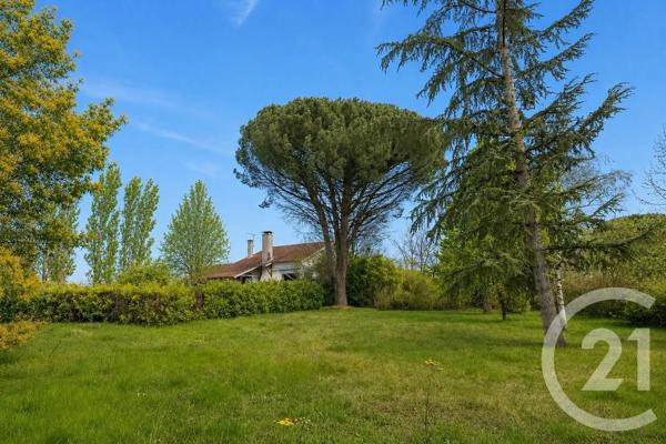 Maison à vendre  4 pièces - 177 m 2   CAMBON D ALBI  - 81