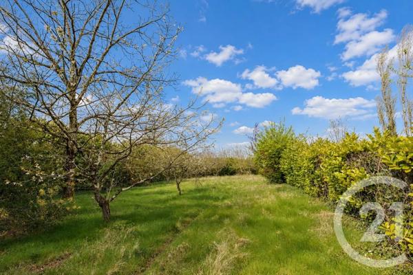 Maison à vendre  4 pièces - 177 m 2   CAMBON D ALBI  - 81