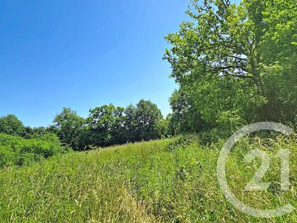 Terrain à vendre  2305 m 2   LESTELLE DE ST MARTORY  - 31