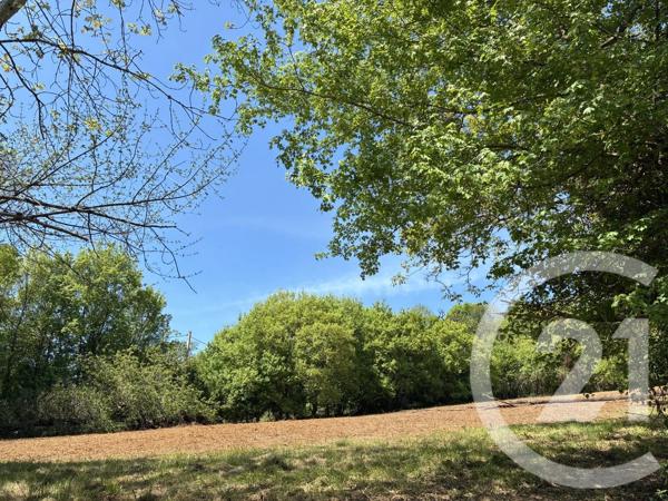 Terrain à vendre  2305 m 2   LESTELLE DE ST MARTORY  - 31