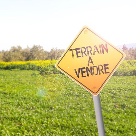 INVESTISSEURS…OPPORTUNITE A SAISIR SUR VANNES EST !