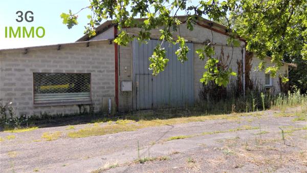 Vente / Local Industriel / Bâtiment