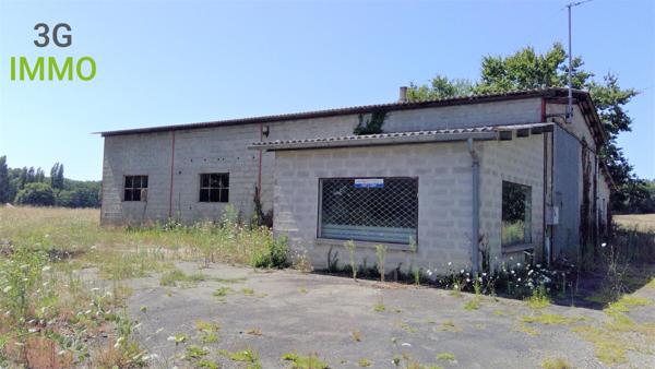 Vente / Local Industriel / Bâtiment