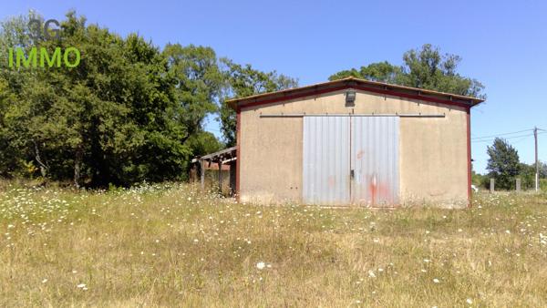 Vente / Local Industriel / Bâtiment