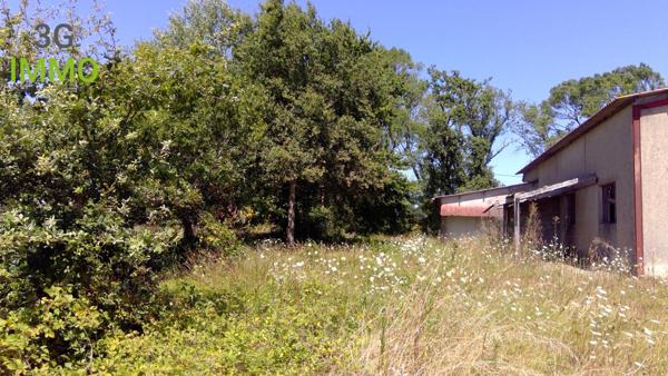 Vente / Local Industriel / Bâtiment