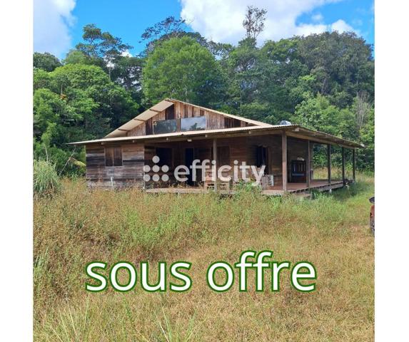 Terrain - 45500 m² Exclusivité efficity