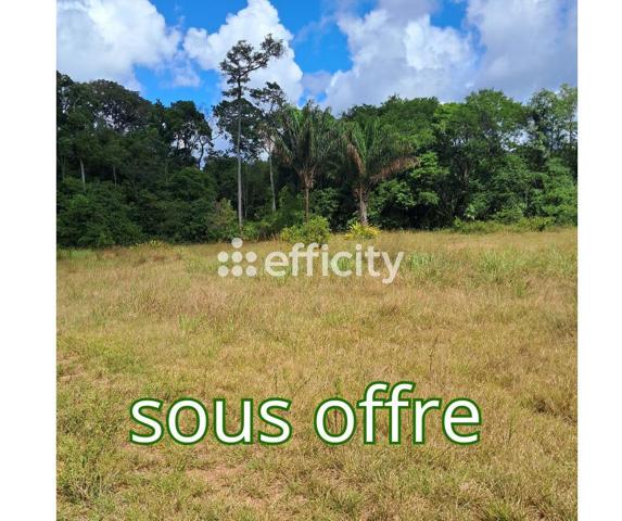 Terrain - 45500 m² Exclusivité efficity