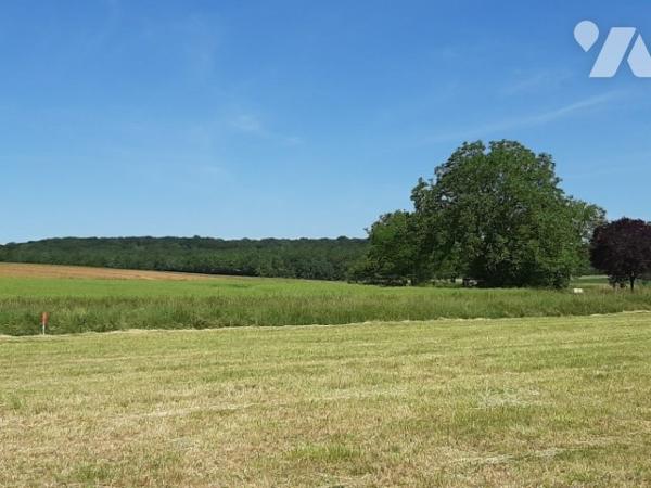 SAUVIGNEY LES GRAY, terrain à bâtir.