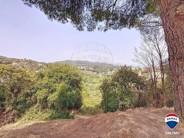 Appartement  en vente - Corse - 20