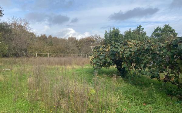 Maison à vendre    6 pièces •  Saint-Pierre-d'Oléron