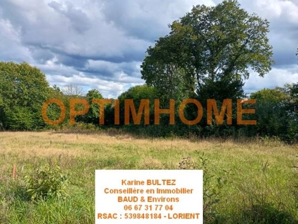 Terrain à vendre de 568,00 m² BAUD (56)