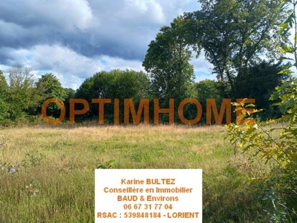 Terrain à vendre de 568,00 m² BAUD (56)