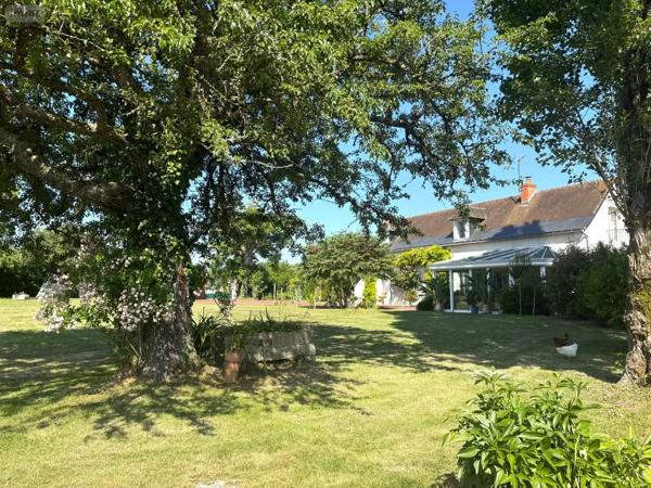 Achat - Propriété Luynes 37230 5 pièces 177 m 2 67200 m 2