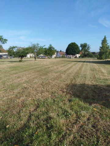 Terrain à vendre de 981,00 m² SAMBIN (41)