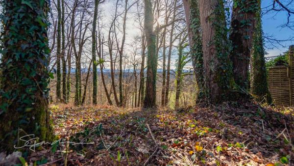 Terrain à vendre de 920,00 m² IDRON (64)