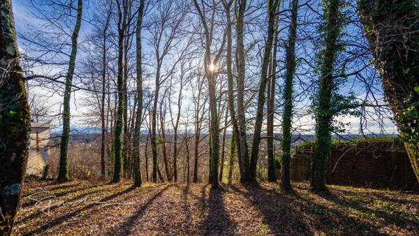 Terrain à vendre de 920,00 m² IDRON (64)