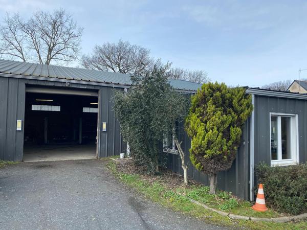 LOCAUX COMMERCIAUX SUR TERRAIN 3600 M2, FENEU
