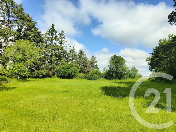 Maison à vendre  7 pièces - 214,50 m 2   LA CHAPELLE MONTLINARD  - 18
