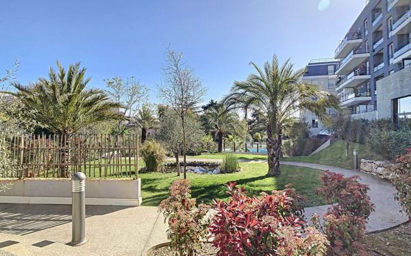 Appartement à louer    1 pièce •  Antibes