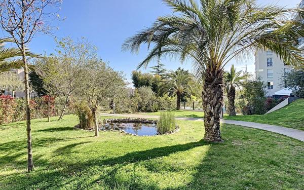 Appartement à louer    1 pièce •  Antibes